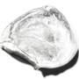 Anti-Aging Cream